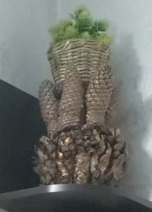 Mansori Design Flower Pot