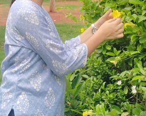 Beautiful Blue Printed Kurta