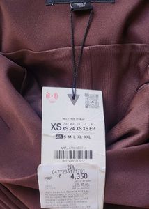 Sheer Ruched Bodycon Mini Dress