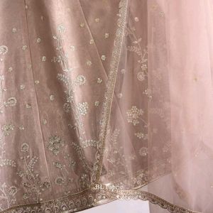 Dusty Nude Lehenga Choli Set