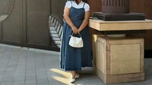 sleeveless Denim  Aline dress