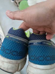 Adidas Climacool Running Shoes