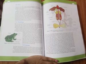 Biology Textbook for Class XI