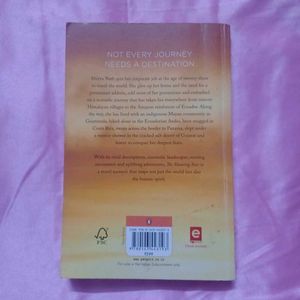 The Shooting Star by Shivya Nath