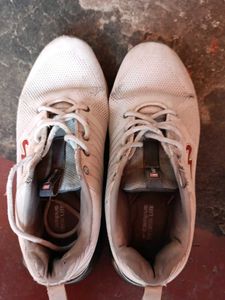 Campus Gray Sneakers
