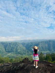Fun Print Fit & Flare Dress