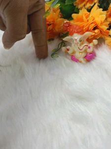 Ganpati Devachi Murti