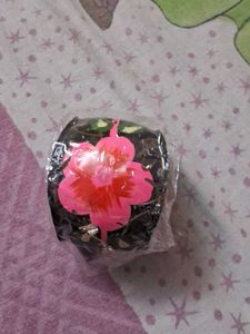 Hand-Painted Floral Bangles (Set of 2)