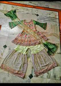 elegant pakistani Sharara suit