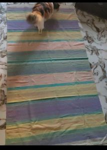 sofa cover and carpet combo