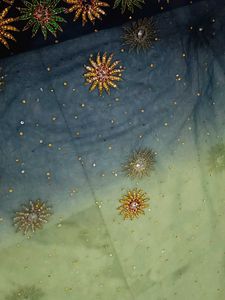 Stunning Ombre Saree with Blouse and peticoat
