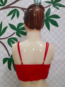 (100)Red Crop Top with Gold Detail