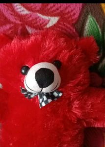 Red Teddy Bear