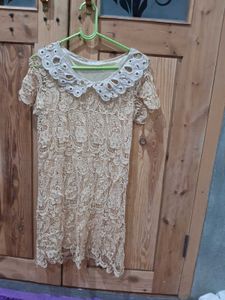 Elegant Lace Peter Pan Collar Dress