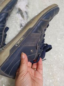 Sports Shoes