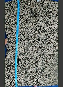 Branded Leopard Print Shirt Dress