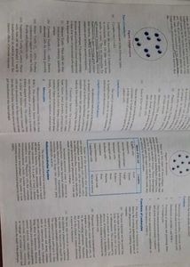 Human anatomy and physiologyGood Condition | Origi