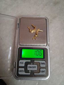 Elegant Gold Earrings