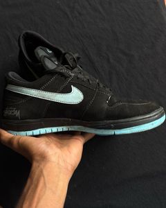 Nike brand new shoe stussy