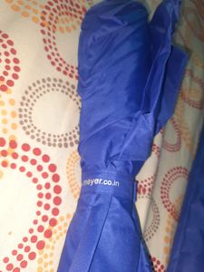 Blue Umbrella (New) with Cover