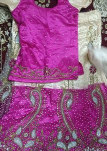 Embroidered Indian Lehenga