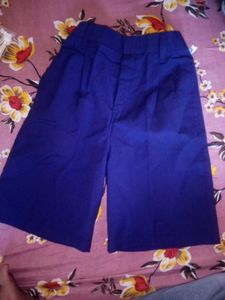 Royal Blue Palazzo Pants