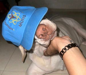Blue Baseball Cap with Logo