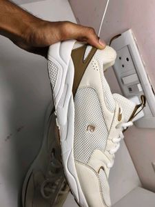Ranger imported shoe
