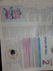 Human anatomy and physiologyGood Condition | Origi