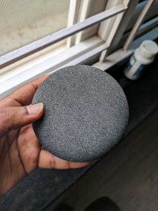 Google Home Mini with Original Charger