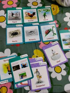 Next AR Explorer Pop Up Cards