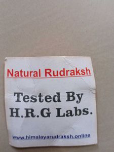 Rudraksha Pendant Necklace