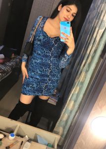 Blue Animal Print Dress