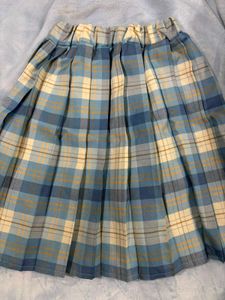 Blue Plaid Pleated Mini Skirt