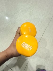 1.5kg Dumbbells set
