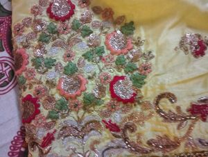 Elegant Embroidered Saree Without Blouse