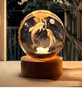 Dolphin Crystal Ball