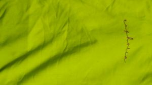 Lime Green Graphic Sweatshirt
