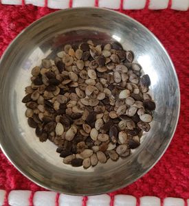 Exotic Passion Flower seeds( 10 seeds)