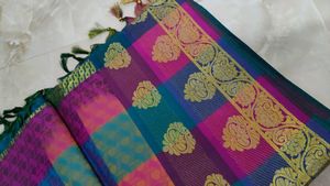 Colorful Checked Weave Saree