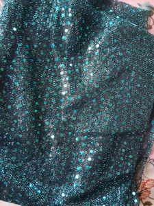 Sparkling Sequin Blouse material