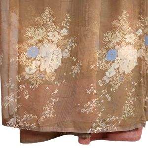 Brown Chiffon Saree