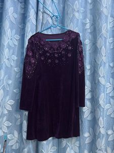 Elegant Purple Velvet Embellished dress