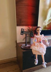 BJD fully articulated  doll