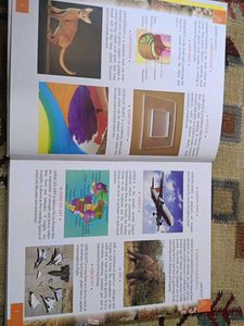 Children's Illustrated Encyclopedia of Alphabets