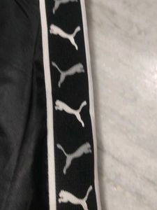 PUMA Track Pants