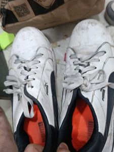Puma White Casual Shoes