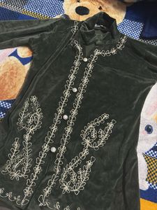 Vintage Velvet Embroidered Dress