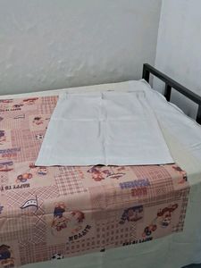 Single Bed Sheet Pillow Cover  of2