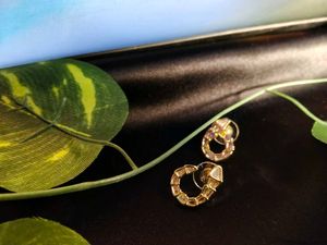Stylish Snake Design Earrings